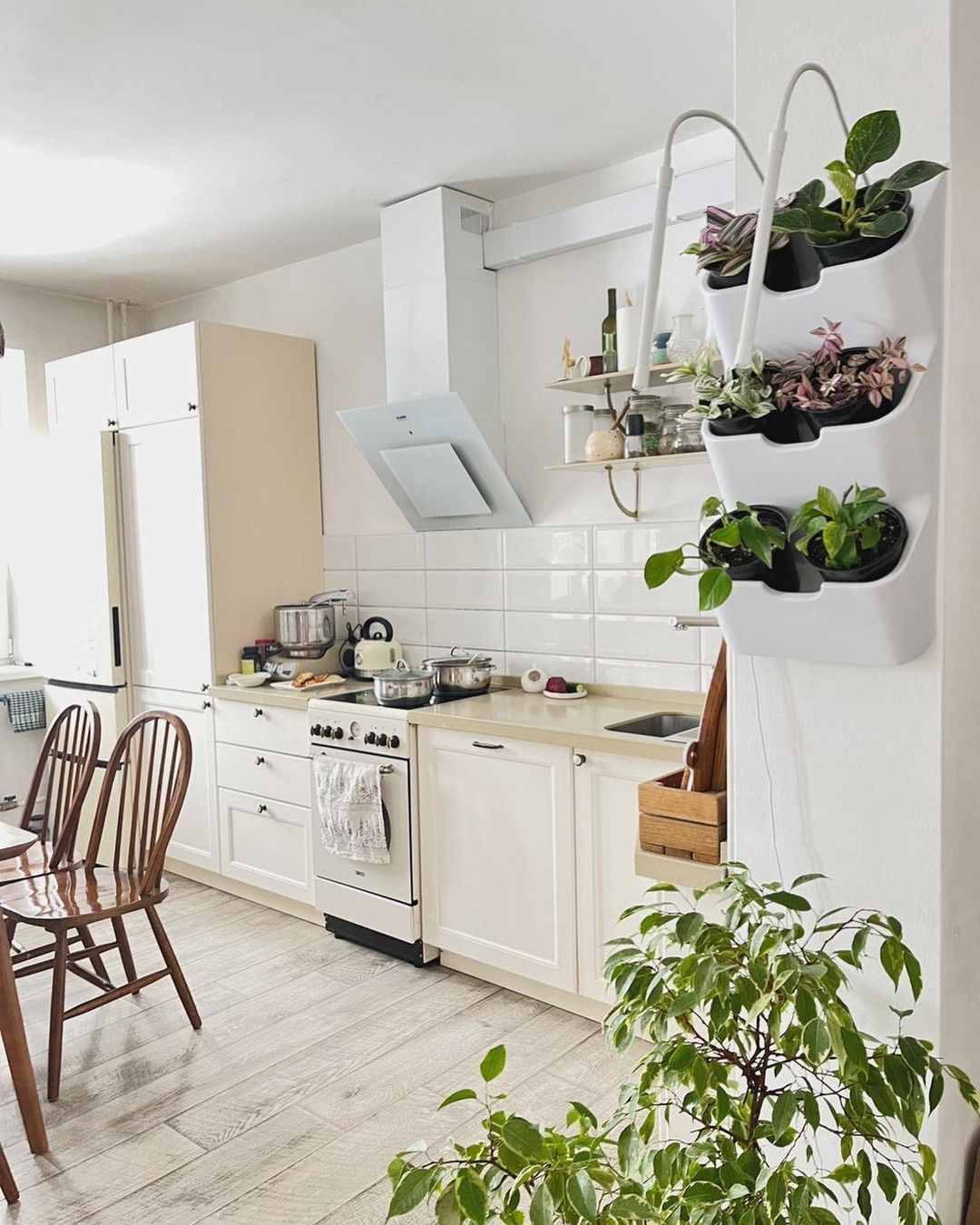 BOXSAND-6 Vertical Planter (12"x26") for 6 Plants Black Color + Round Black Pots