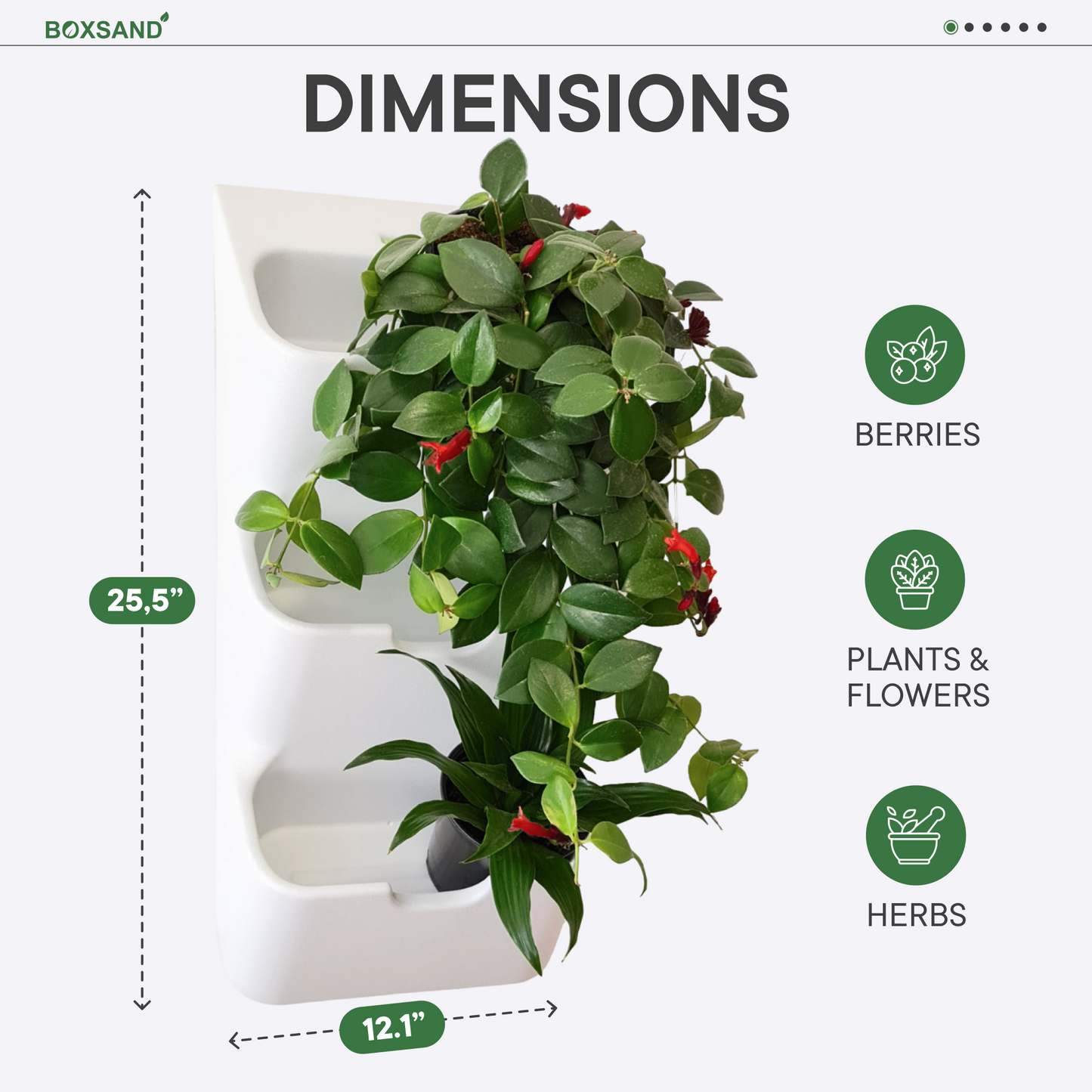 BOXSAND-6 Wall Planter, Living Wall (12"x26") - 6 Plants, White Color
