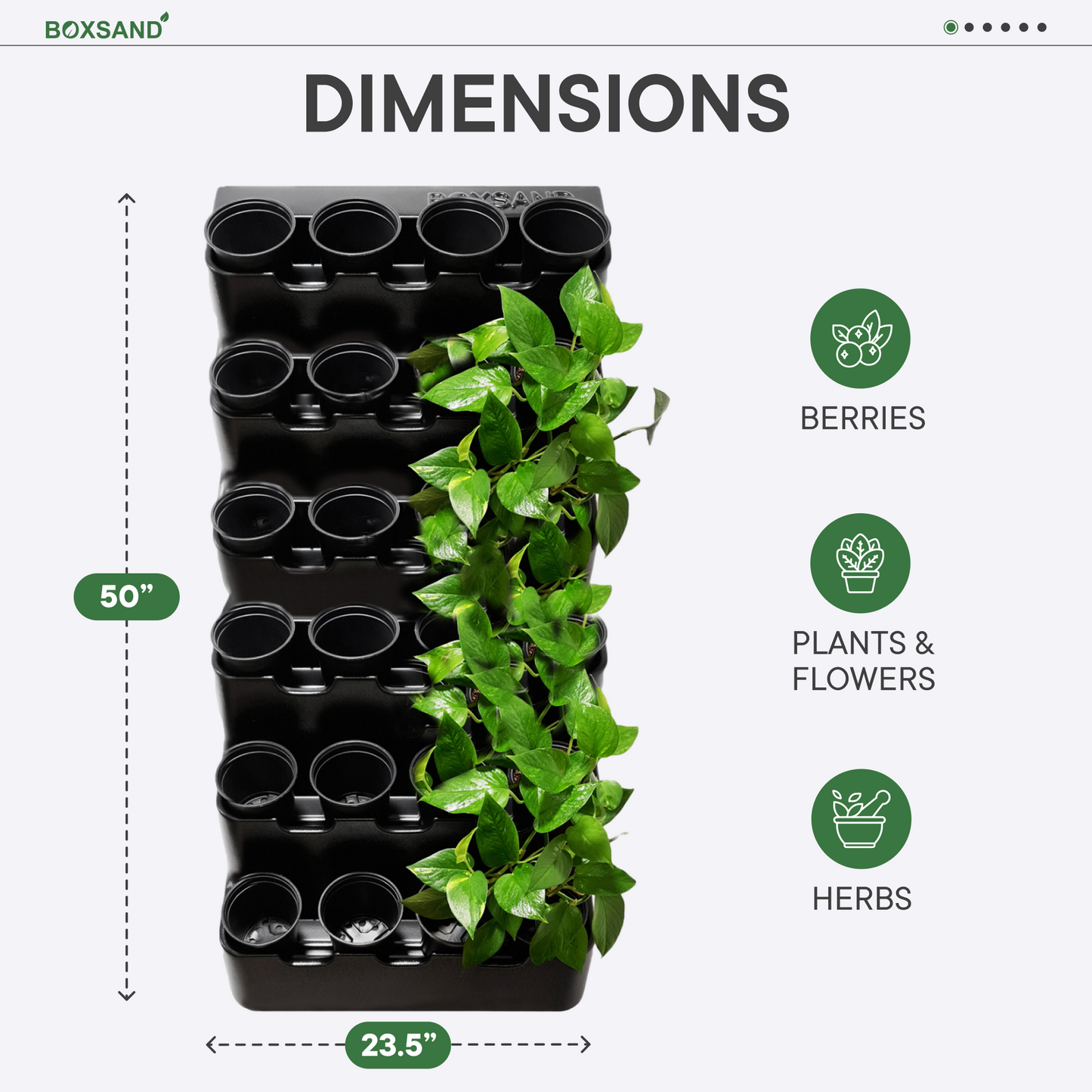 BOXSAND-24 Wall Planter, Living Wall (24"x50") - 24 Plants (White) + Black Round Pots