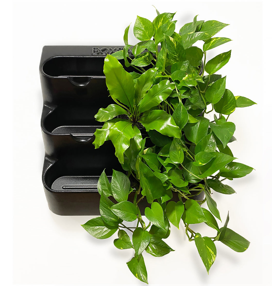 BOXSAND-12 Vertical Wall Planter for 12 Plants – Indoor/Outdoor Living Wall, Space-Saving Vertical Garden System, Easy 2-Screw Install (White, 24"x26", no pots)