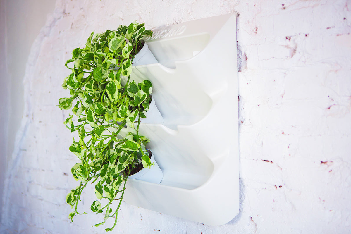 BOXSAND-12 Vertical Planter for 12 plants (24"x26") White Color