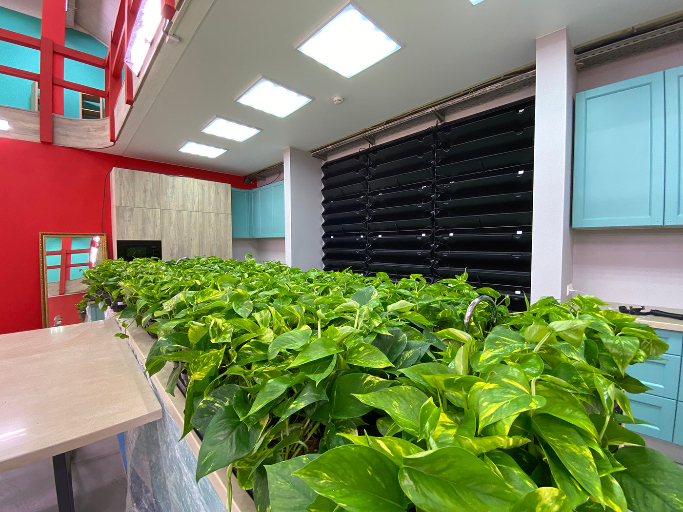 BOXSAND-12 Vertical Planter (24"x26") - 12 Plants, Black Color + Square Black Pots
