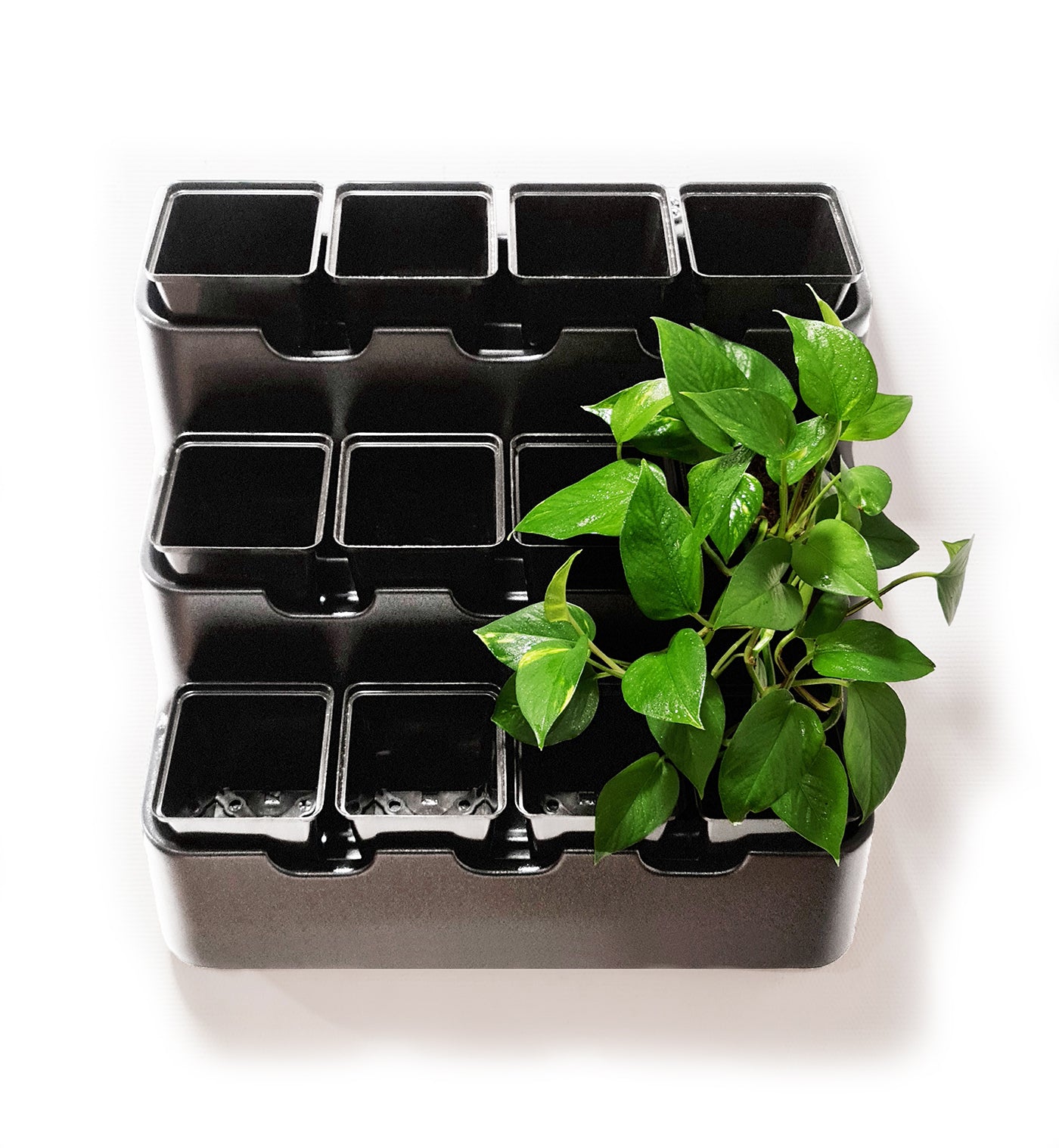 Plant Pot Set, 12 pots, 4.5" Deep Square, Color - Black