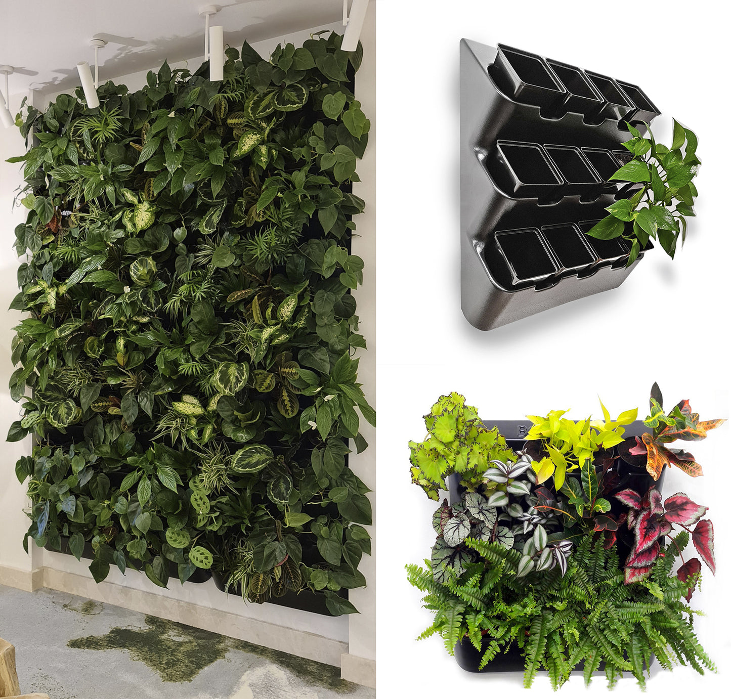 Plant Pot Set, 12 pots, 4.5" Deep Square, Color - Black