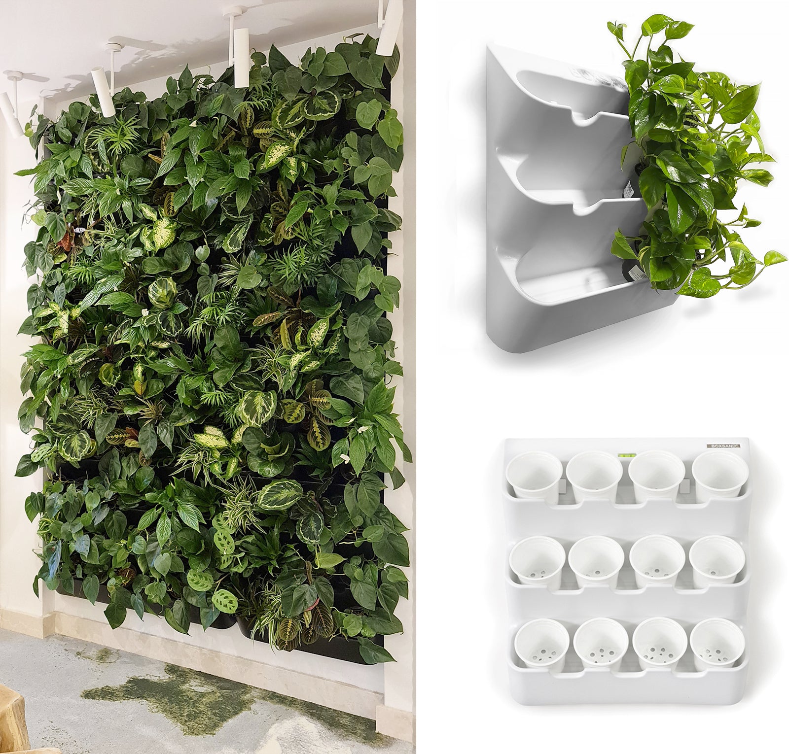 wall of plants indoor BOXSAND-12 Vertical Wall Planter for 12 Plants – Indoor/Outdoor Living – BOXSAND