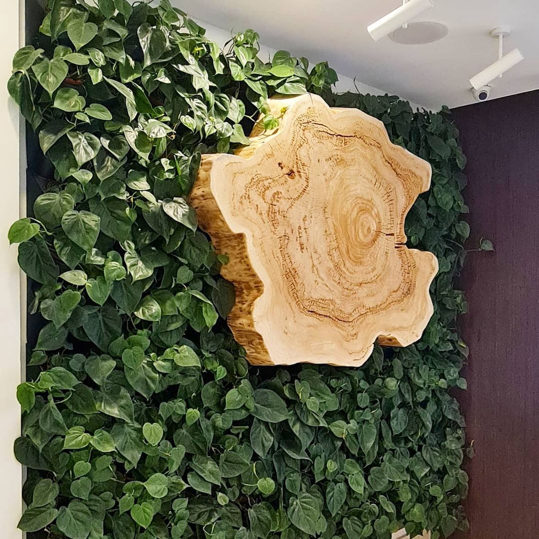 BOXSAND-36 Vertical Wall Planter Set of 3 (24"x74") – Living Wall Planters for 36 Plants, Indoor/Outdoor Vertical Garden System, Easy 6-Screw Install (White with Black Pots)