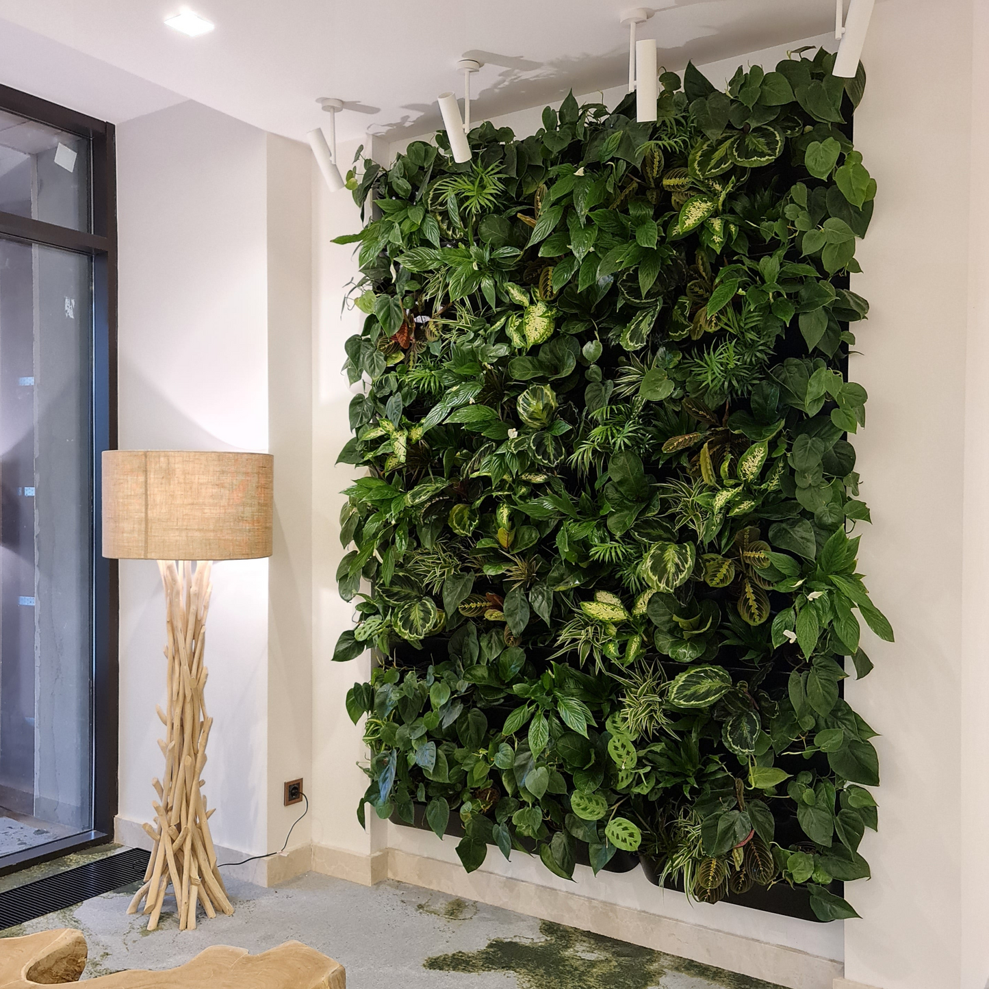 BOXSAND-36 Wall Planter, Vertical Wall Planter (24"x74") (Black) for 36 Plants  + Black Round Pots