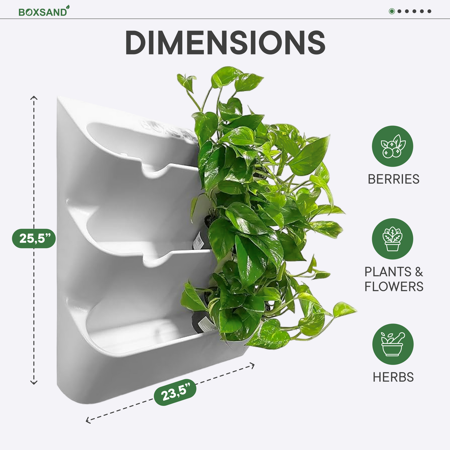 BOXSAND-12 Vertical Planter (24"x26") - 12 Plants, White Color + Round Black Pots