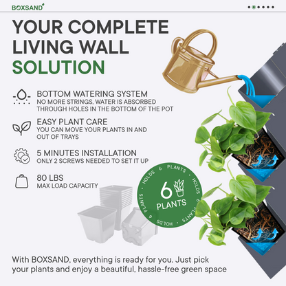 BOXSAND-6 Vertical Planter (12"x26") - 6 Plants, Black Color + Square Black Pots