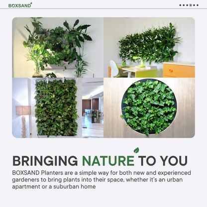 BOXSAND-6 Vertical Planter (12"x26") - 6 Plants, Black Color + Square Black Pots