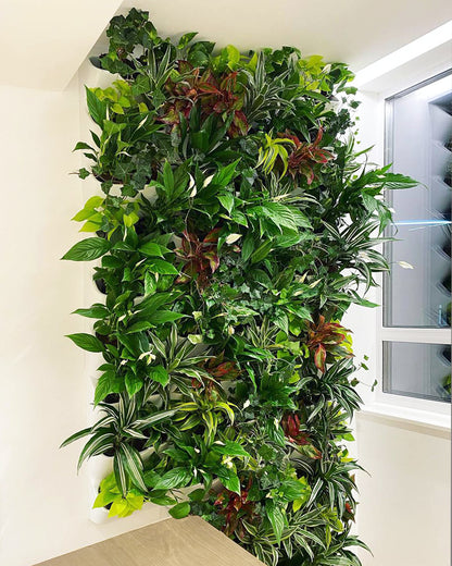 BOXSAND-6 Vertical Planter (12"x26") - 6 Plants, Black Color + Square Black Pots