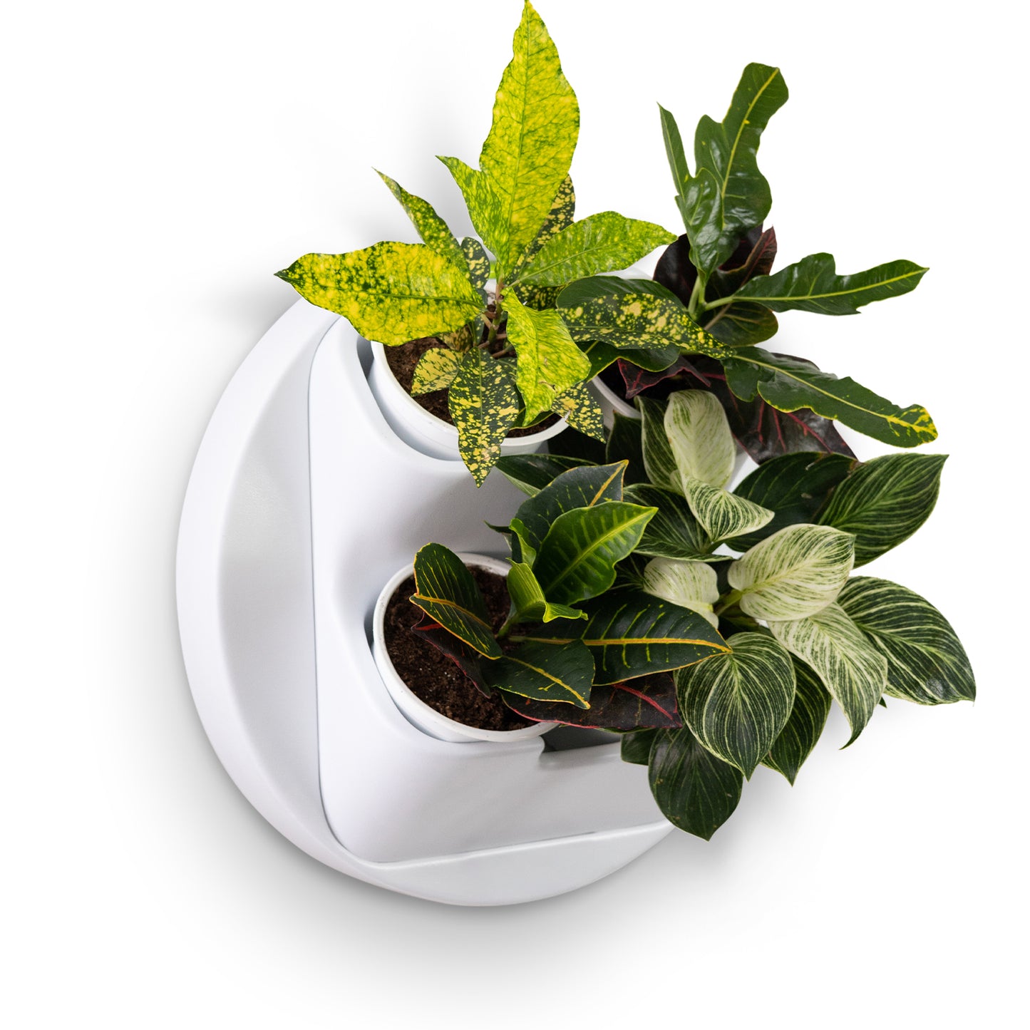 wall mount indoor plants BOXSAND-4 Vertical Wall Planter with 4 Pots – Modern Wall Mounted Indoor/Outdoor Planter for Herbs & Plants, Vertical Garden Wall Decor for Home,