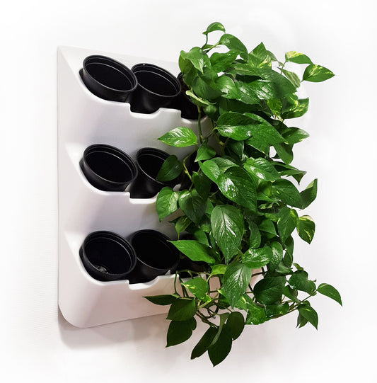BOXSAND-12 Vertical Planter (24"x26") - 12 Plants, White Color + Round Black Pots