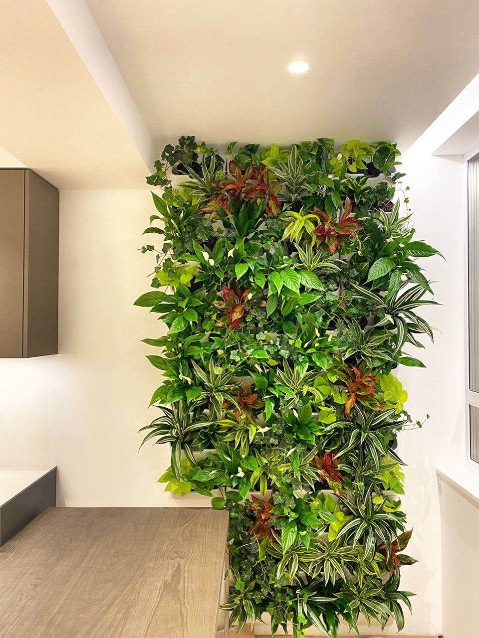 wall plant pots indoor BOXSAND-6 Wall Planter, Living Wall (12"x26")