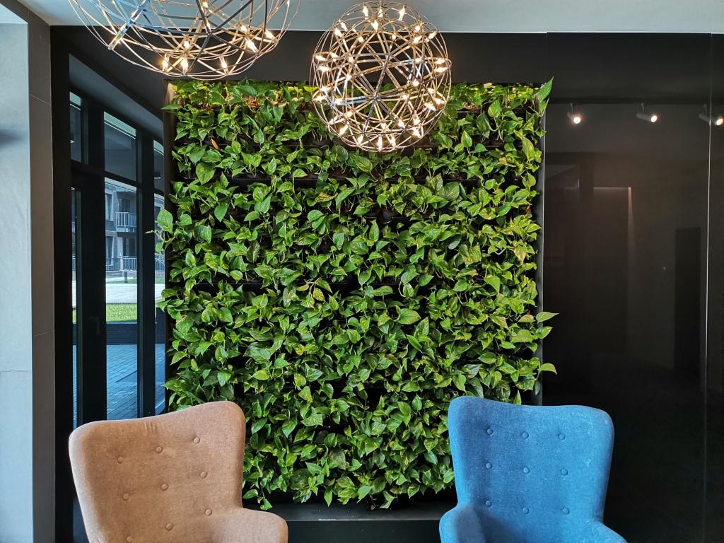 BOXSAND-24 Wall Planter, Living Wall (24"x50") - 24 Plants (White) + Black Round Pots