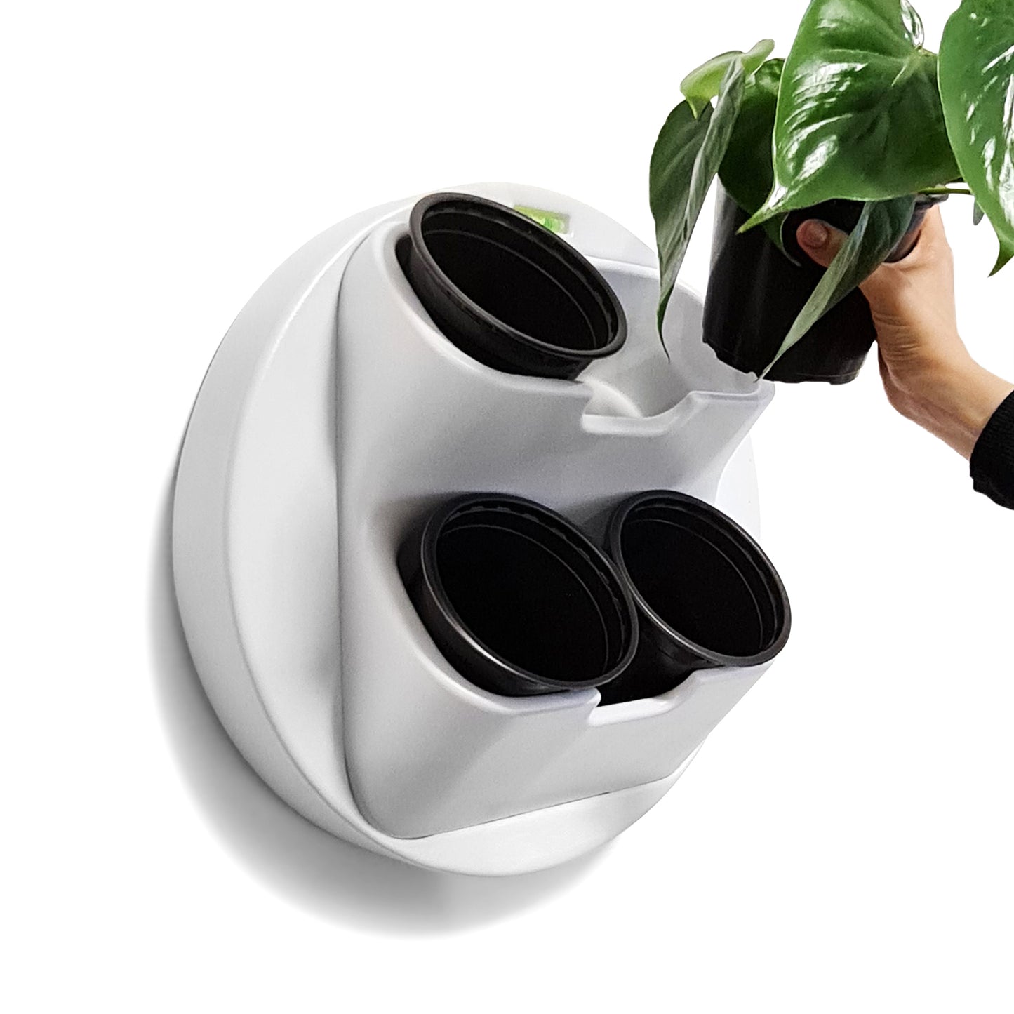plastic wall plant pots BOXSAND-4 Vertical Wall Planter with 4 Pots – Modern Wall Mounted Indo – BOXSAND
