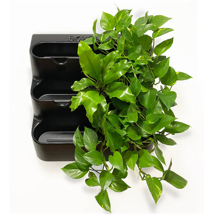 BOXSAND-12 Vertical Planter for 12 plants (24"x26") White Color