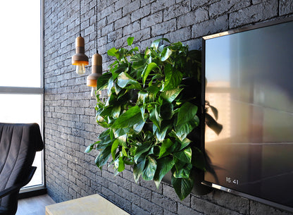 BOXSAND-12 Vertical Planter for 12 plants (24"x26") Black Color