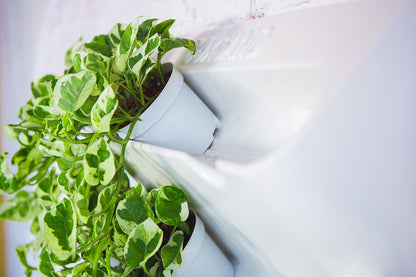 BOXSAND-12 Vertical Planter for 12 plants (24"x26") White Color