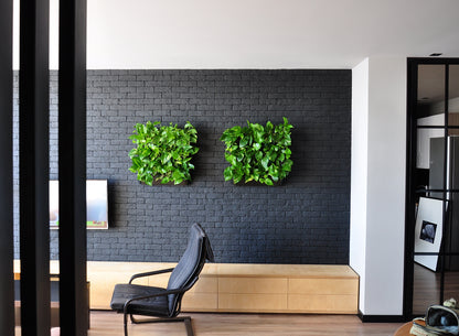 BOXSAND-12 Vertical Planter for 12 plants (24"x26") Black Color