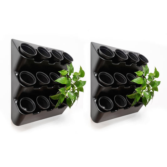 BOXSAND-24 Wall Planter, Living Wall (24"x50") - 24 Plants (Black) + Black Round Pots