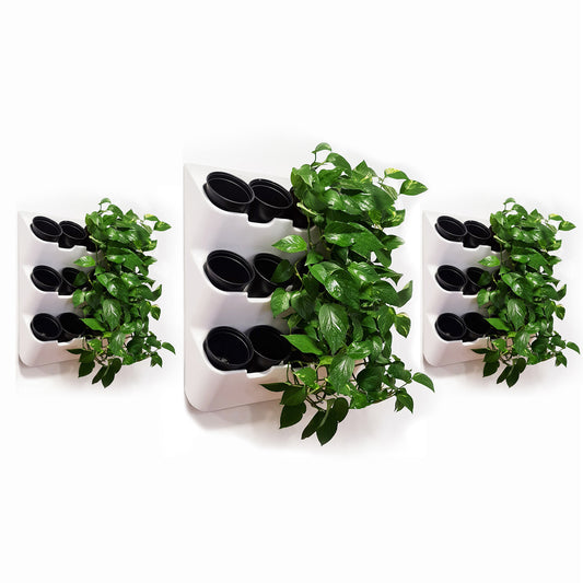 BOXSAND-36 (24"x74") Set of 3 Wall Planters, Vertical Wall Planter, Living Wall, Vertical Garden for 36 Plants, Indoor/Outdoor, 6 Screws Install (White) with Black Round Pots