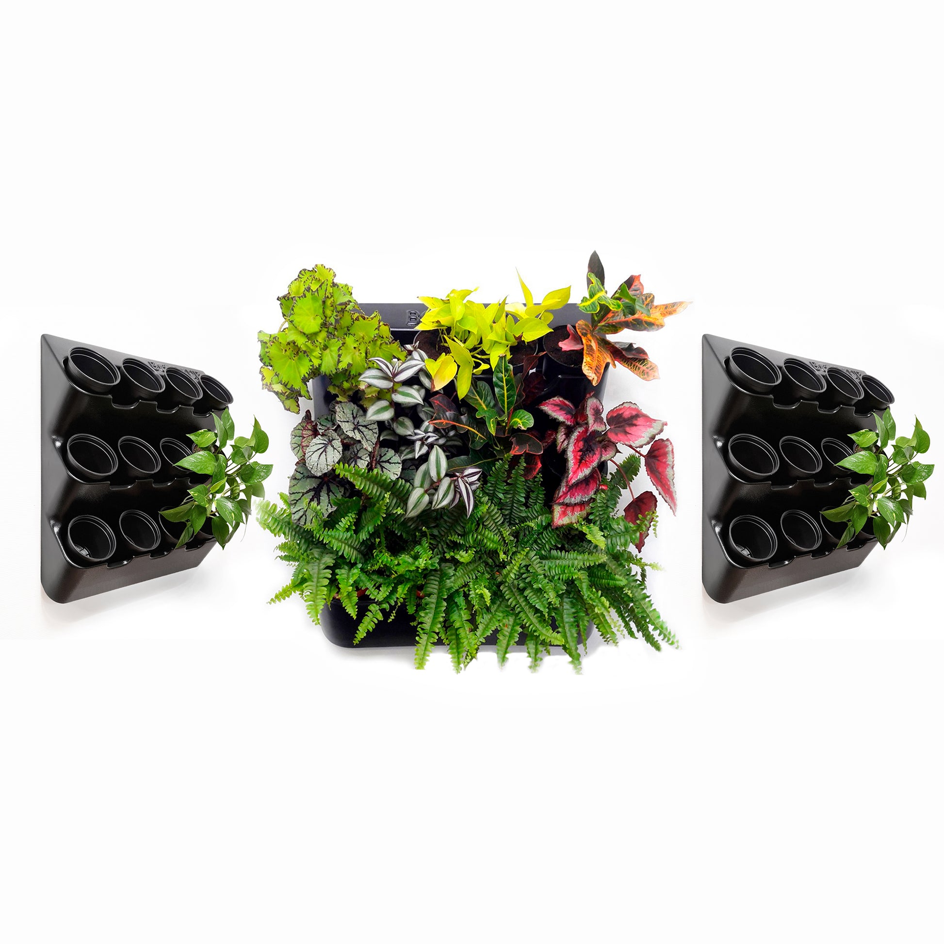black hanging planter box BOXSAND-36 Wall Planter, Vertical Wall Planter (24"x74") (Black) for 36 Plants + Black Round Pots