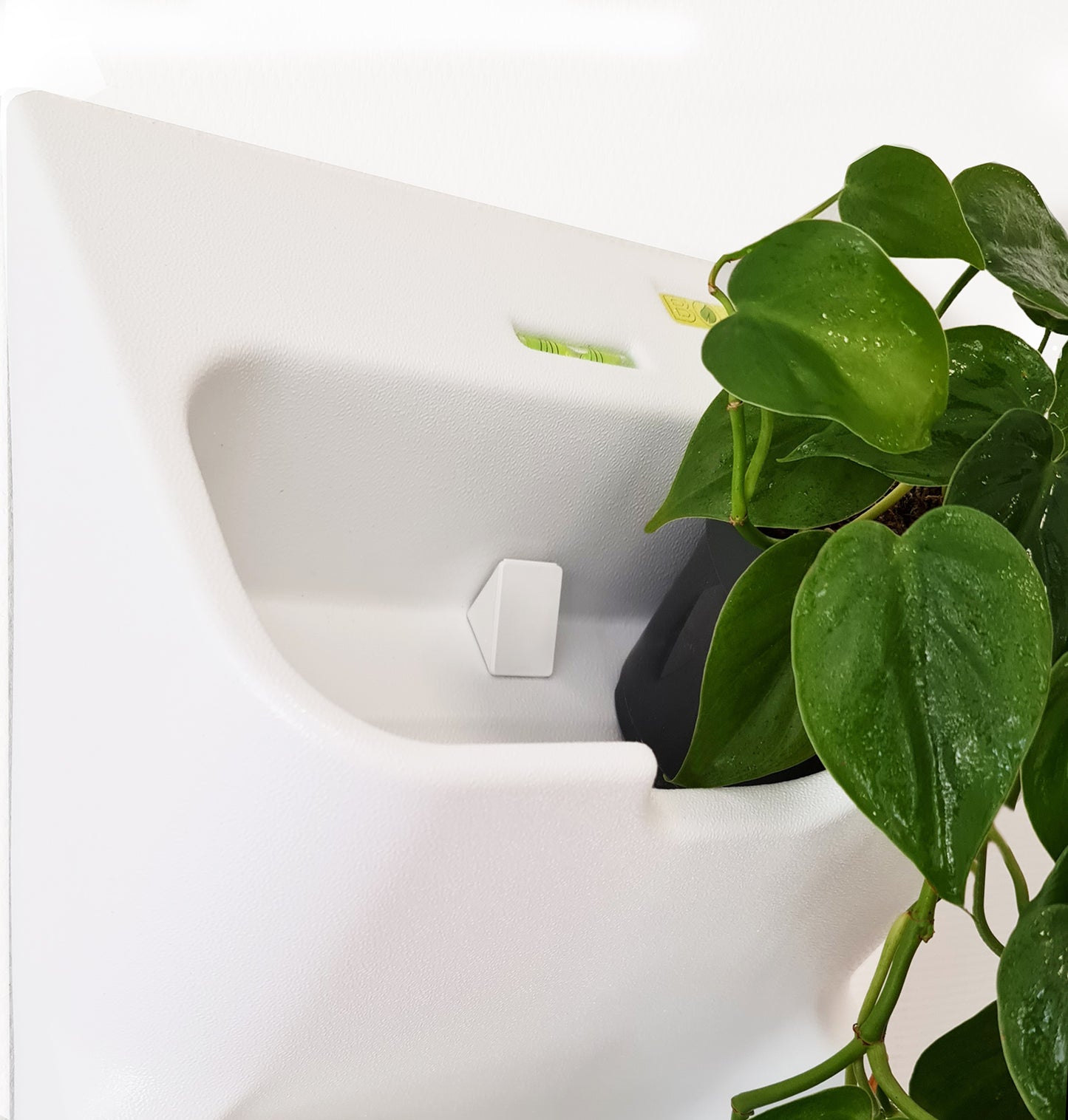 BOXSAND-6 Wall Planter, Living Wall (12"x26") - 6 Plants, White Color
