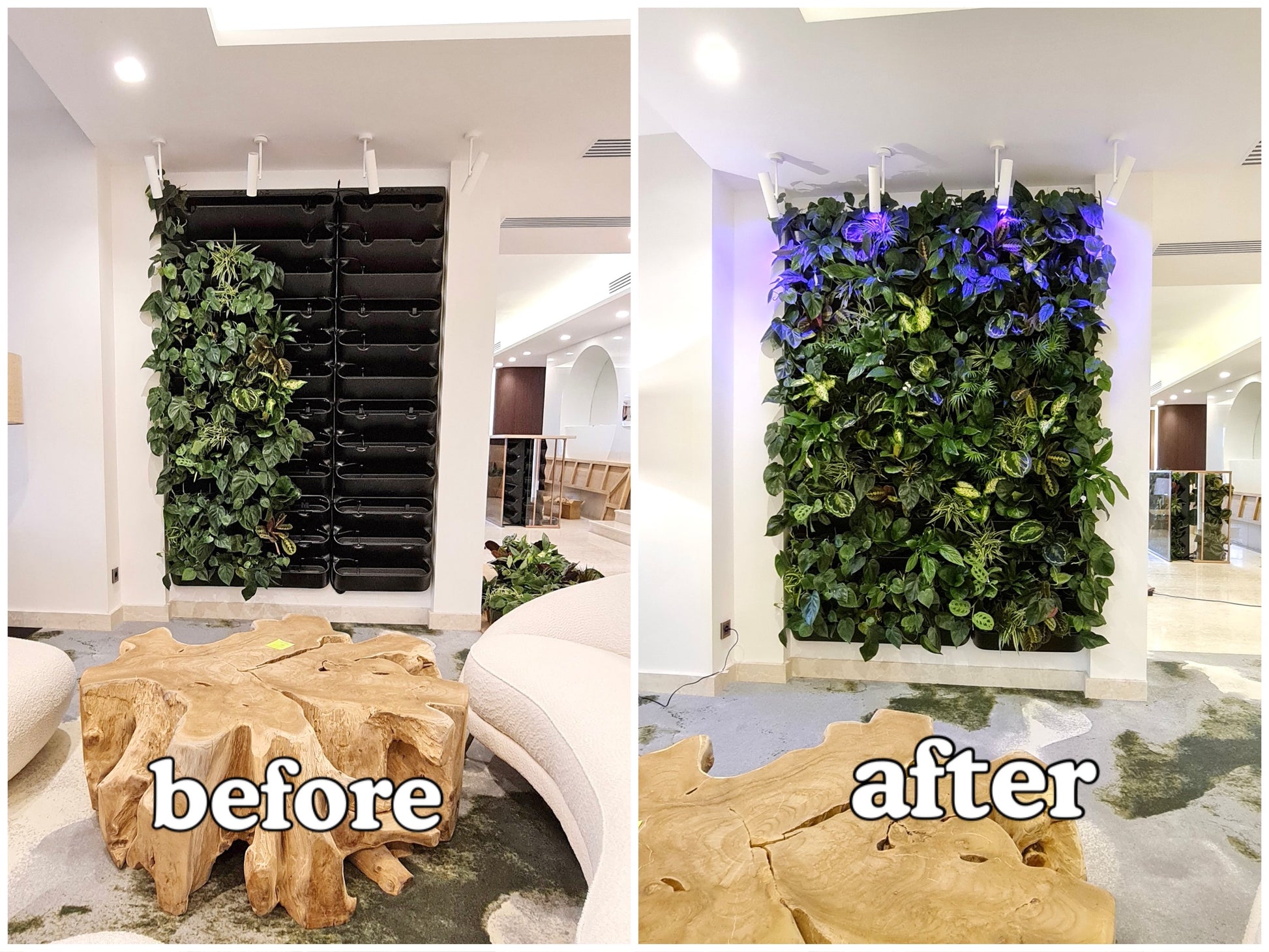 12 pocket indoor waterproof vertical living wall planter BOXSAND-12 Vertical Wall Planter for 12 Plants – Indoor/Outdoor Living – BOXSAND
