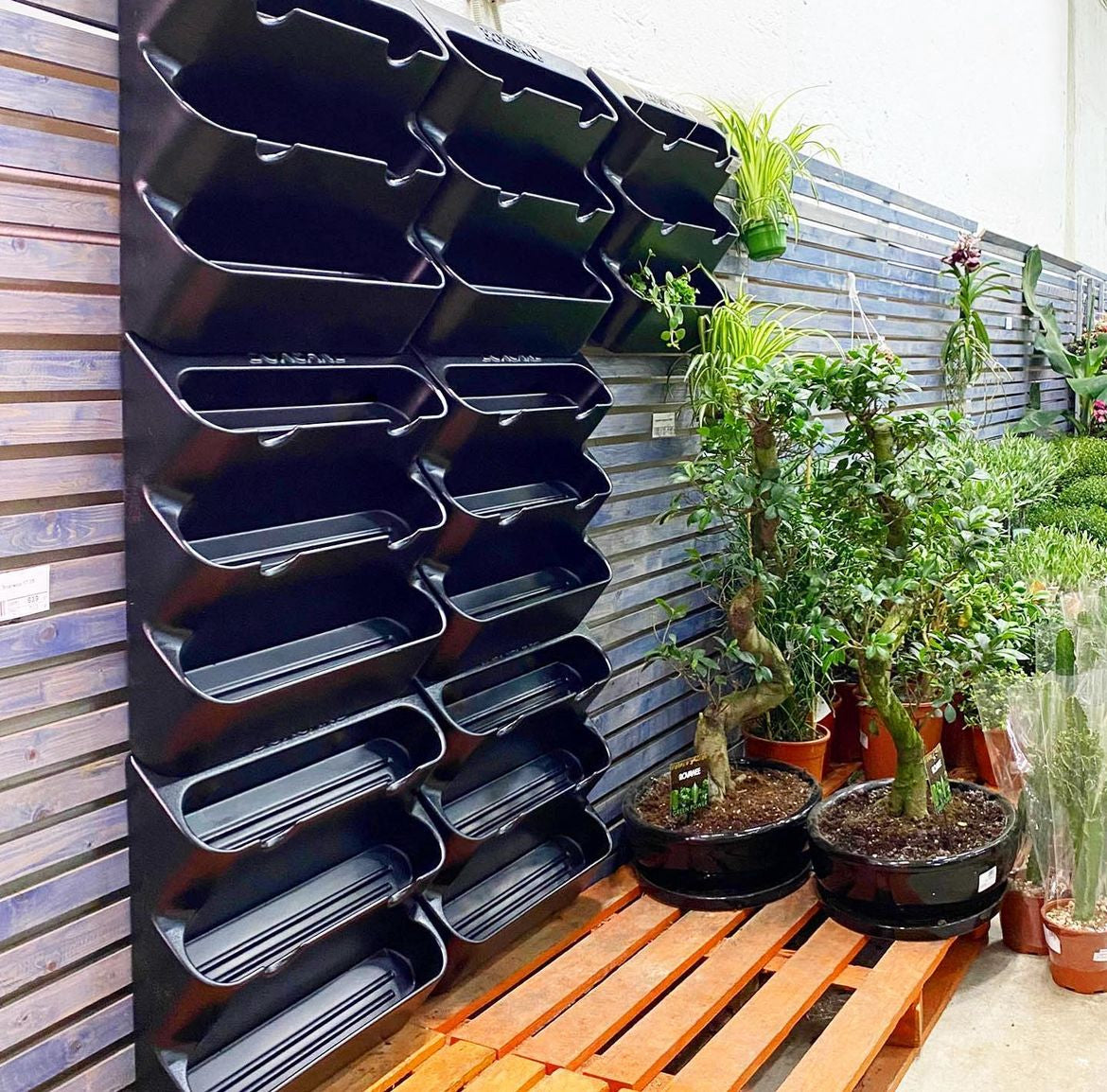 indoor garden wall planter BOXSAND-24 (24"x50") Living Wall