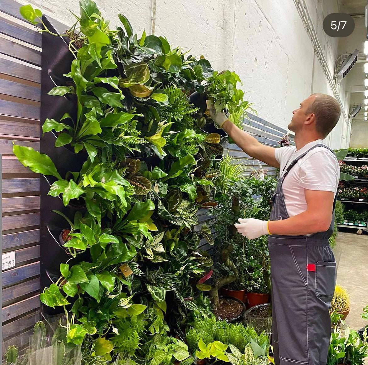 24 hanging planter BOXSAND-24 (24"x50") Living Wall