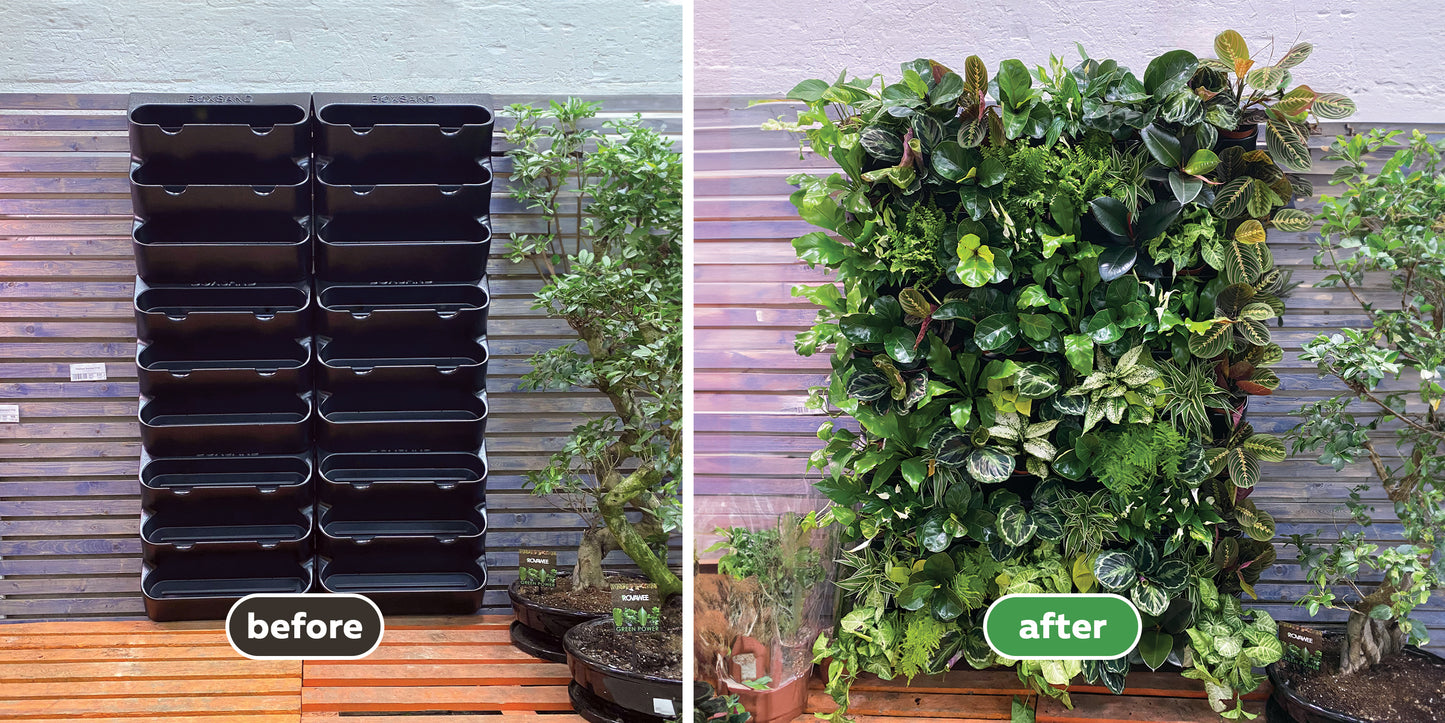 BOXSAND-12 Vertical Planter for 12 plants (24"x26") Black Color