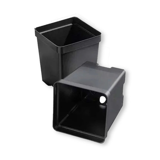 Plant Pot Set, 12 pots, 4.5" Deep Square, Color - Black