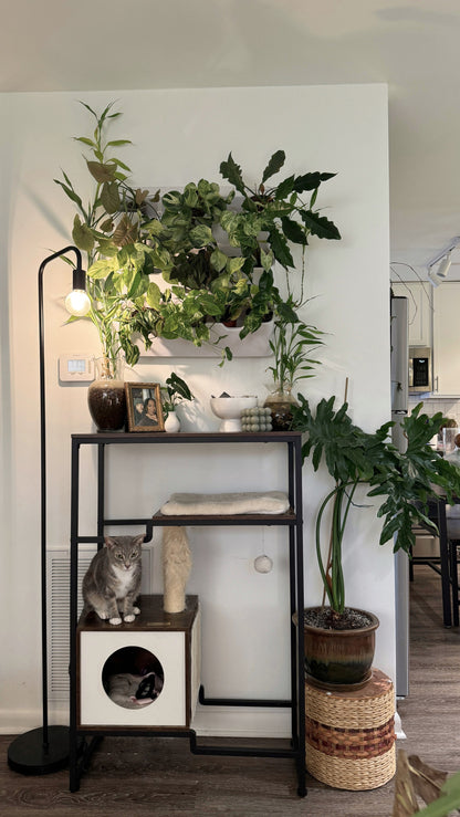 BOXSAND-12 Vertical Planter (24"x26") - 12 Plants, White Color + Round Black Pots