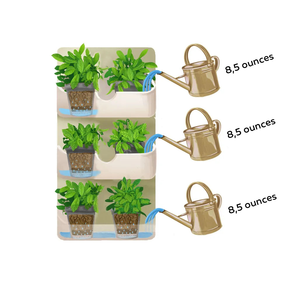 BOXSAND-6 Vertical Planter (12"x26") - 6 Plants, Black Color + Square Black Pots