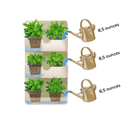 BOXSAND-6 Vertical Planter (12"x26") - 6 Plants, Black Color + Square Black Pots